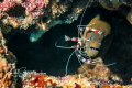   Moray eel banded cleaner shrimp taken drift dive Agincourt reef Great Barrier Reef. Shot 1855 canon Ikelite 18-55 18 55  